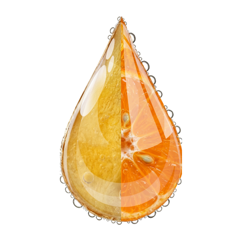 Ginger & Clementine